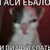 skvorov_