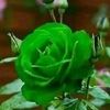 mylifehappy206