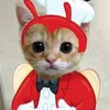 izyz_mky