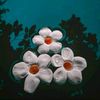 maria.jannat.haowa