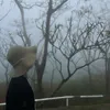 beiualj