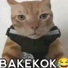 bakekok693