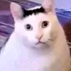 stopdabrainrot