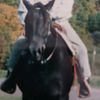 linda.willig.barn