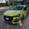 le_lion_vert