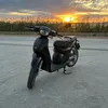 .dani239