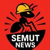 Semut News