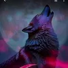 user042563412