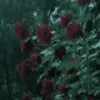 rm0de