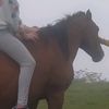 dasti11_