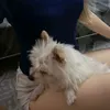 ynenih_3
