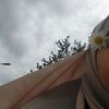 kholoud.337