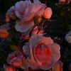 un_know1705