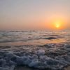 bahar_0202_