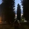 ekatensvddii