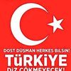 qankara06