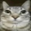 gutaro_22