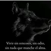 adolfo3144