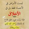 user4935661830174