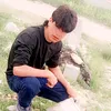 user8778012199671