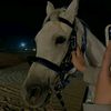 mayar_abdullah_x