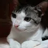 milkinha06