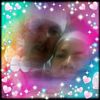jess.nande
