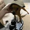 pep0210.com14
