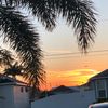 not_abbey7