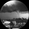 tornadoe_ally