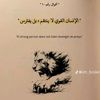 alimani3305