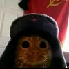 shadowgamertt66
