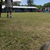 darwin5920