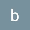 bsb.hdd