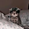 maru_3020xd
