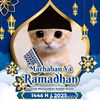 samsuddin6618