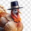 turkeyisturkey4