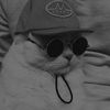 FunnyCat99