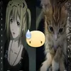 qwhdhy