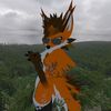 flufy_fox