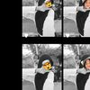 nad1en_z2skia_m2ulida