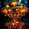 dr_dav177ontelegram3