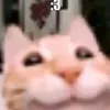 blixxwastaken
