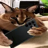 forsaken_player678