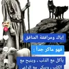 waleedkwaleed0