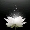 sn.hong.trung4