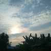 melput43