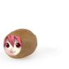 kiwi.teto