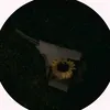 yusef_272