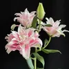kiu.linh160